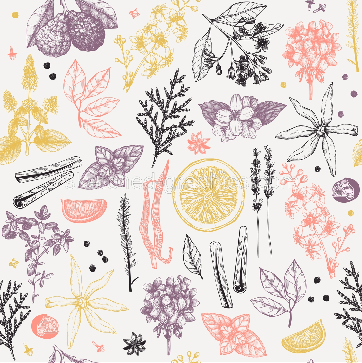 Aromatic plants background. Perfumery and cosmetics ingredient sketch. Herbs seamless pattern. Hand-drawn floral illustration. NOT AI generated Illustration